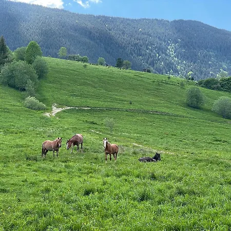 еко-міївка Krasznik