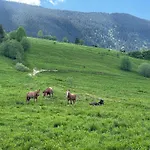 еко-міївка Krasnik
