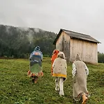 еко-міївка